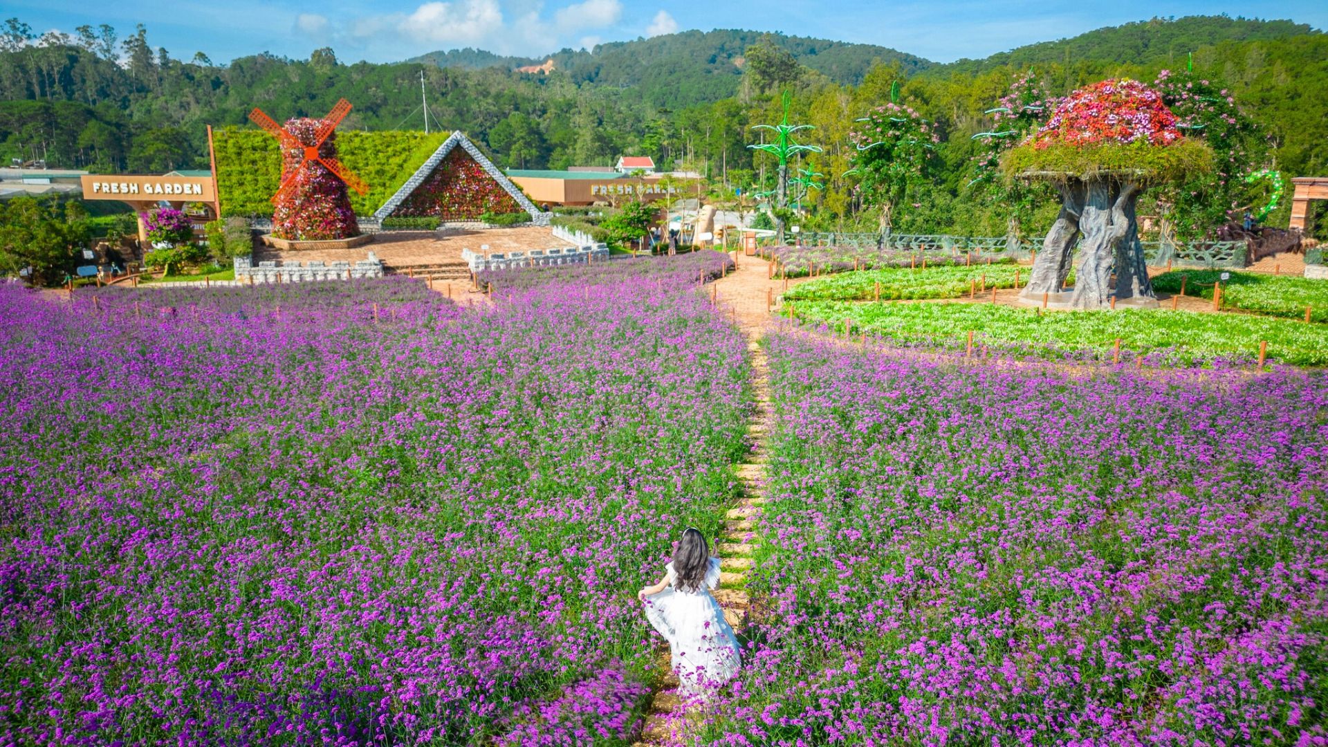05D04N HO CHI MINH – DA LAT